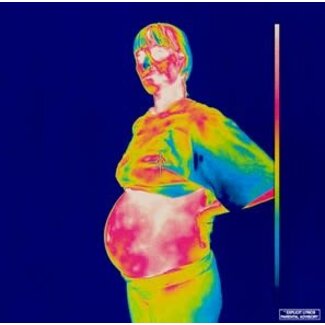 Brockhampton Iridescence 2LP