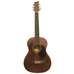 BeaverCreek BeaverCreek 3/4 Dreadnought Chameleon Metallic Junior Acoustic Guitar