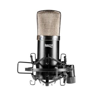 Apex Apex Compact Studio Condenser Mic with Case Black