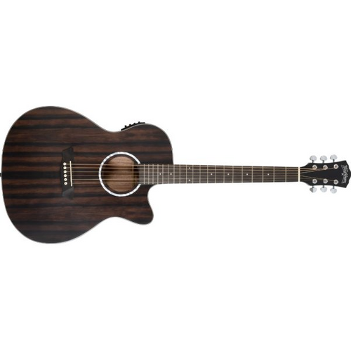 Washburn Washburn Acoustic/Electric Guitar, Striped Ebony