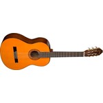Washburn Washburn Nylon-string Classical Acoustic Guitar with Spruce Top