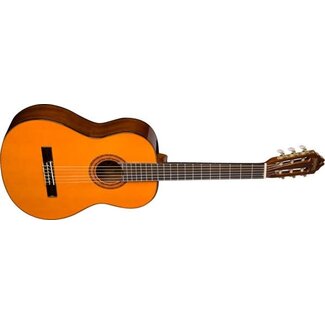 Washburn Washburn Nylon-string Classical Acoustic Guitar with Spruce Top