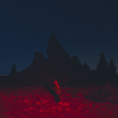 Phoebe Bridgers Punisher