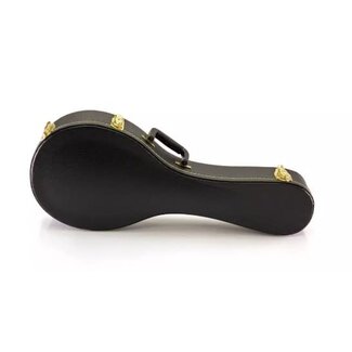 Yorkville Yorkville Sound Mandolin Case A Style
