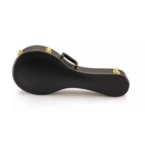 Yorkville Yorkville Sound Mandolin Case A Style