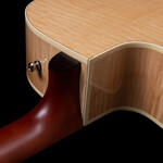 Seagull Seagull 051960 Performer CW Mini Jumbo HG Presys II w/Gig Bag