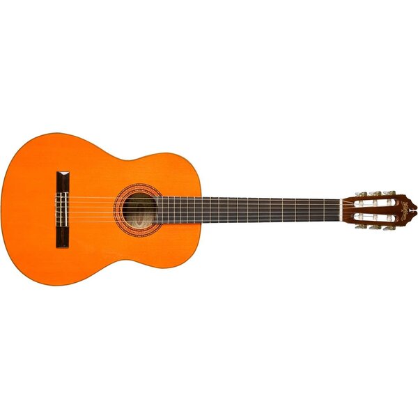 Washburn Washburn Nylon-string Classical Acoustic Guitar with Spruce Top