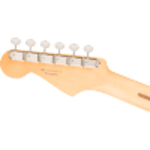 Fender Fender Player II Stratocaster® HSS Cactus Gray