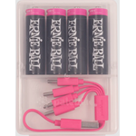 Ernie Ball Ernie Ball USB-C Rechargeable AA Battery by Paleblue (4 Pack)