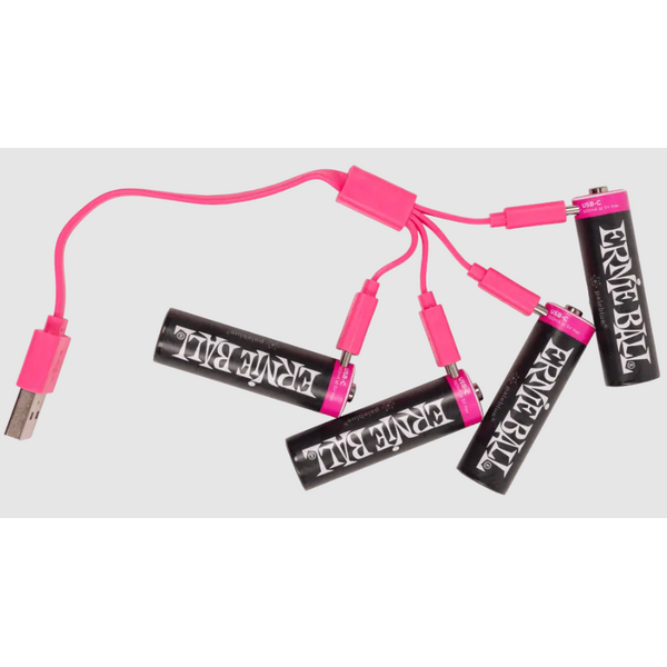 Ernie Ball Ernie Ball USB-C Rechargeable AA Battery by Paleblue (4 Pack)