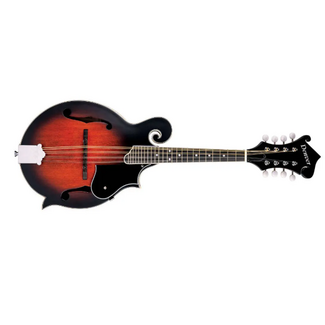 Denver F-Style Mandolin with Gigbag - Smokey Vintage Satin