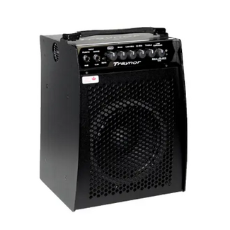Traynor Traynor 100 Watt Micro Combo/Bass Head