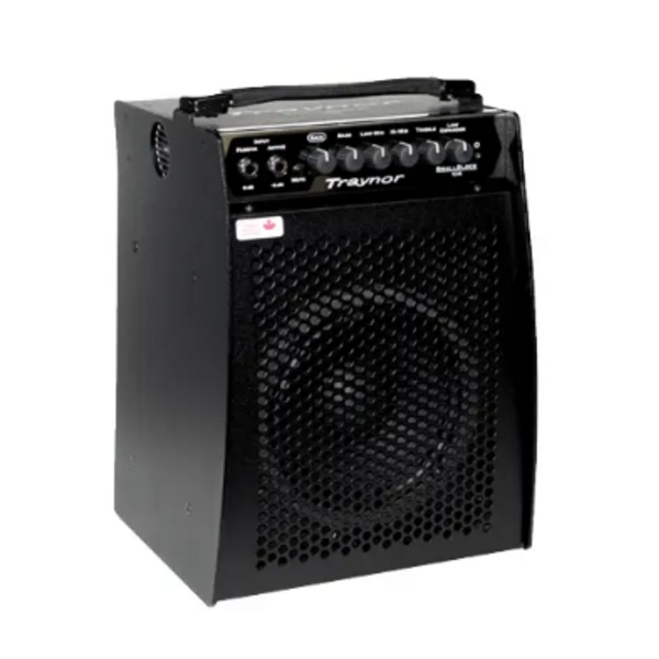 Traynor Traynor 100 Watt Micro Combo/Bass Head