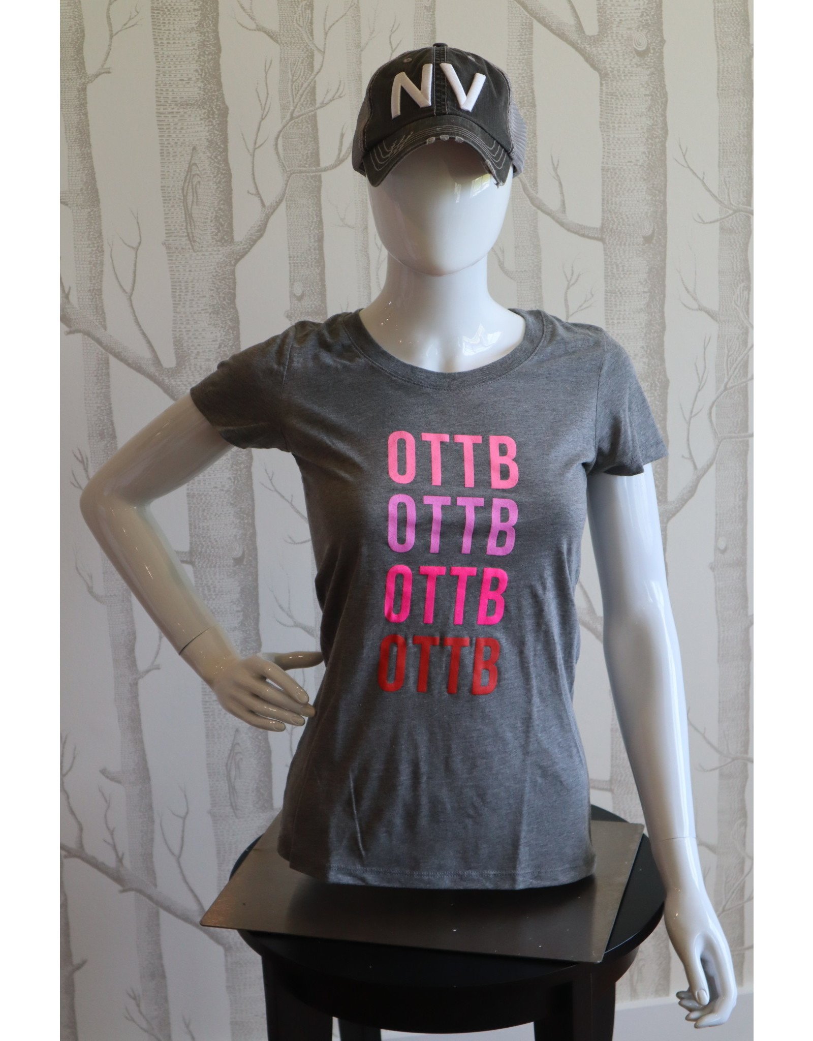 Grey OTTB in Deepening Colors T-Shirt (Women's cut)