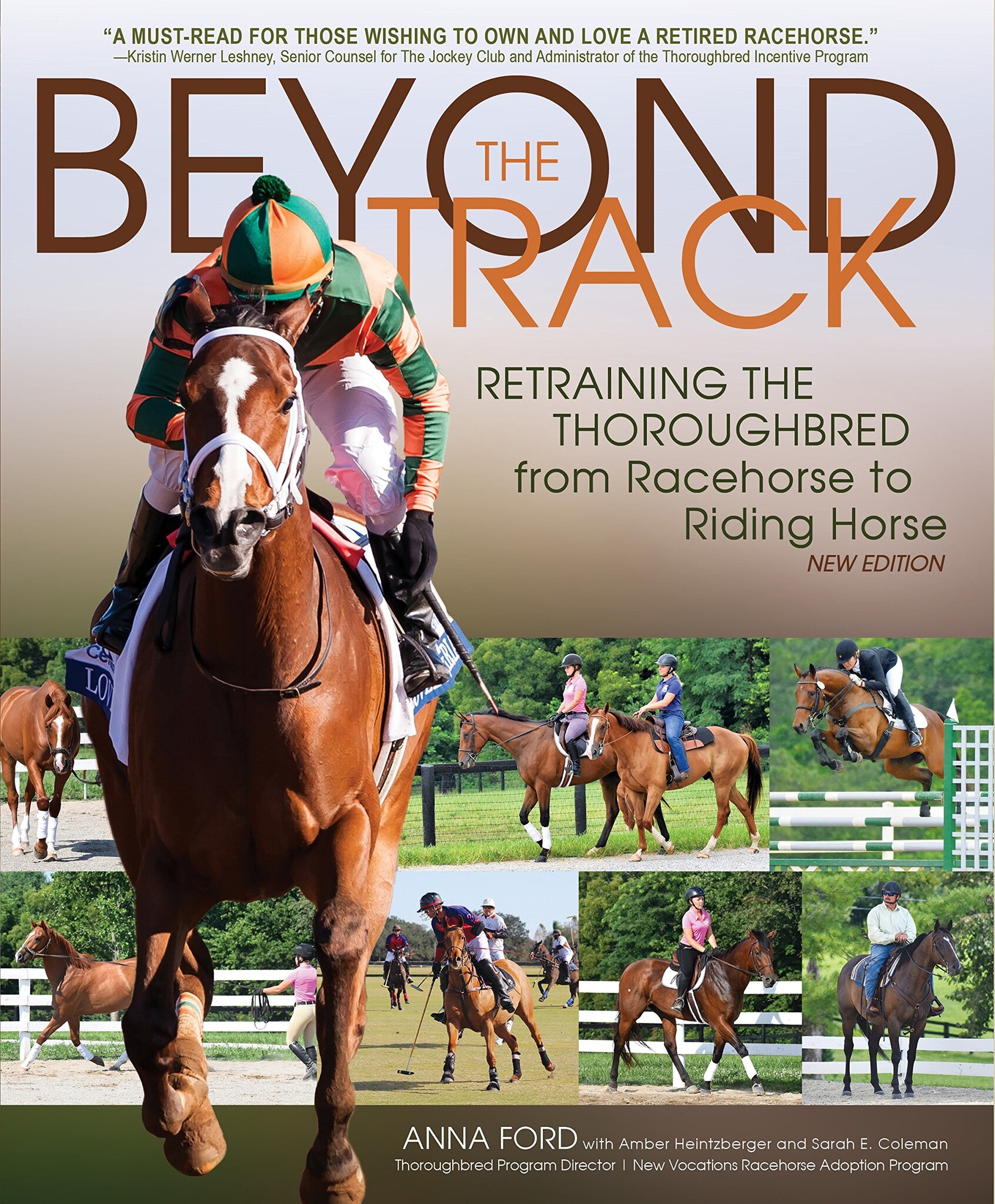 Beyond the Track - New Vocations Racehorse Adoption Program