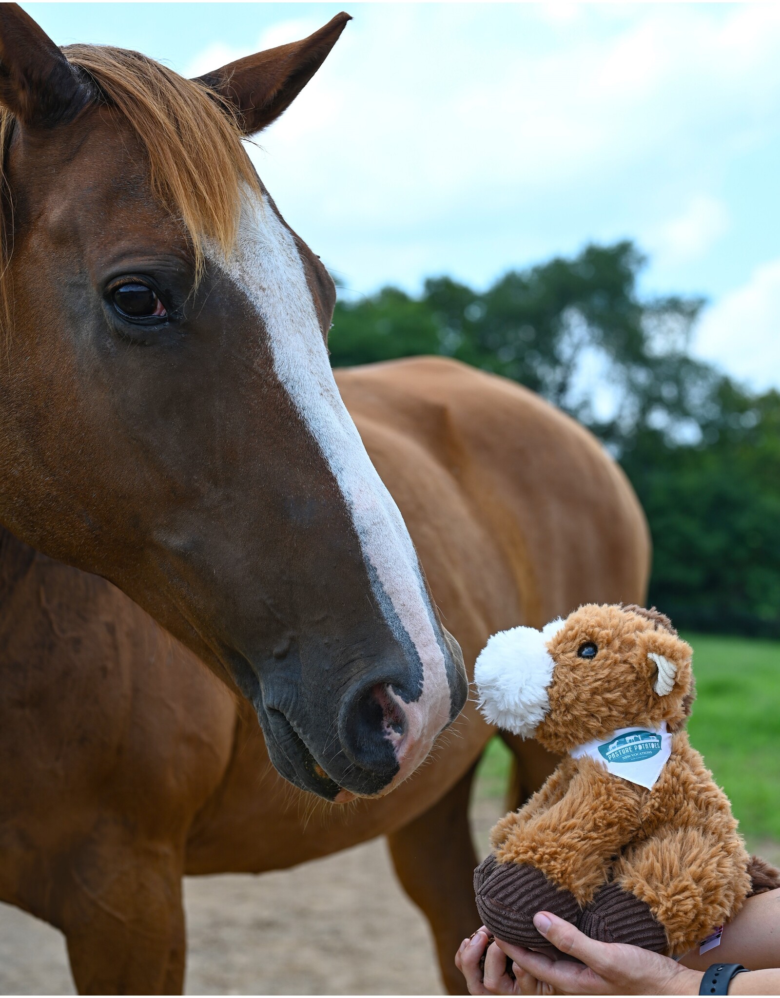 Pasture Potato Plush Horse