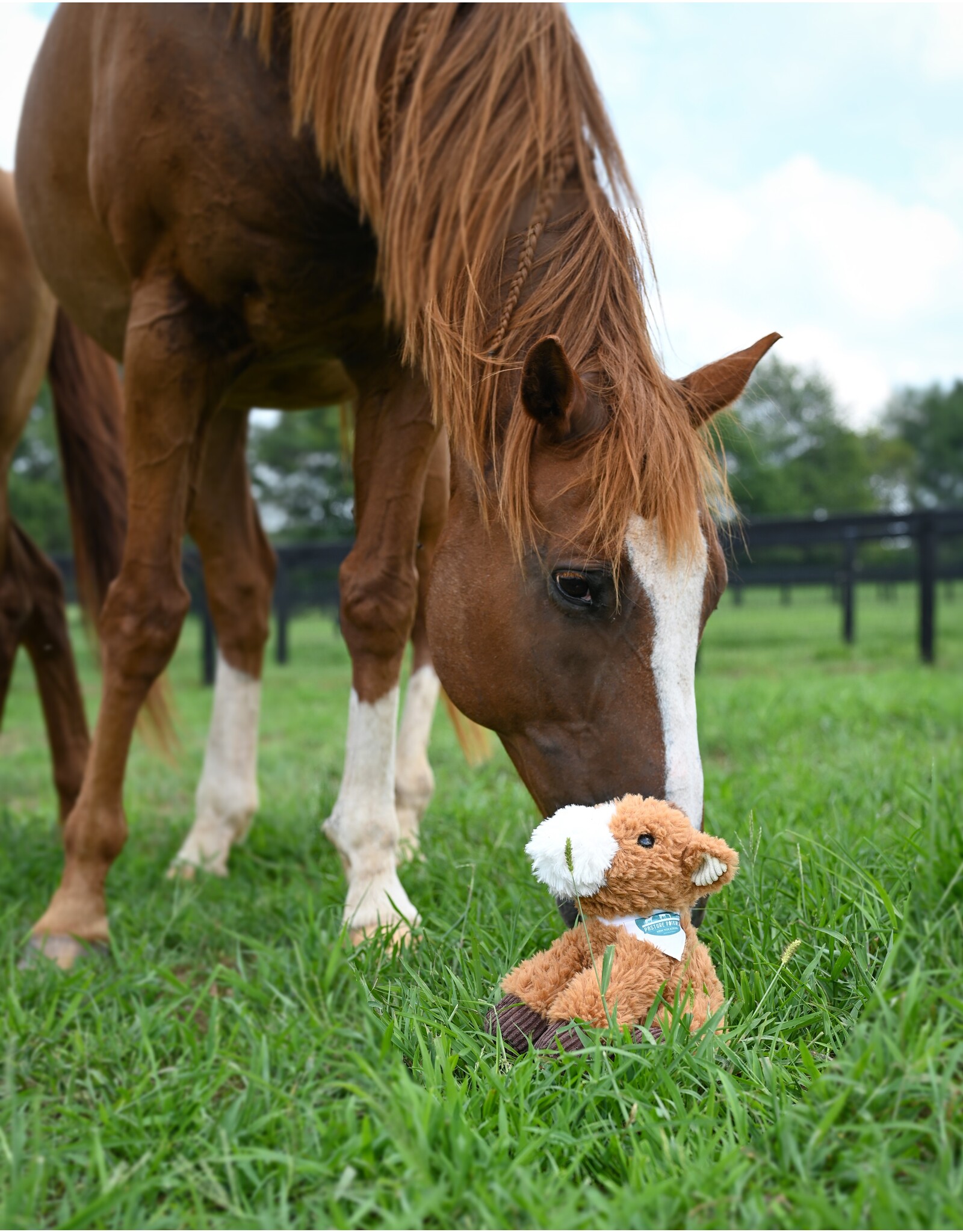 Pasture Potato Plush Horse