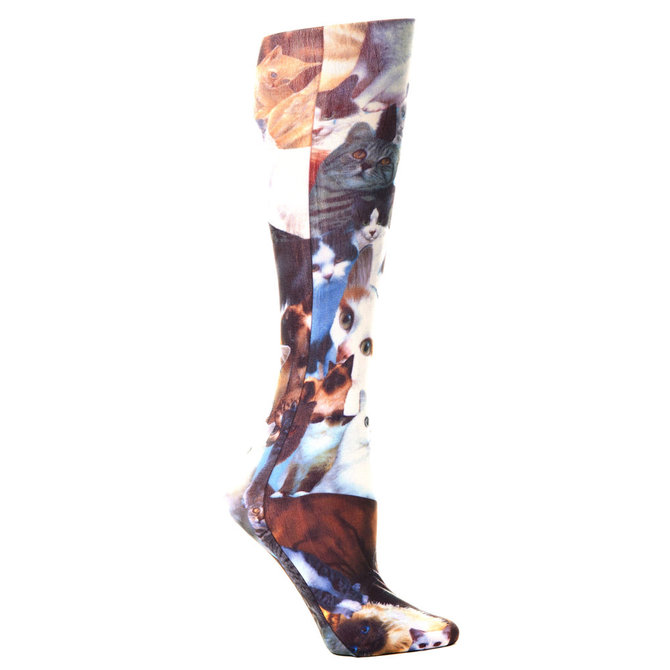 Celeste Stein Printed Compression Trouser