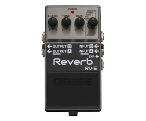 Reverb RV-6 - Melody Time Music