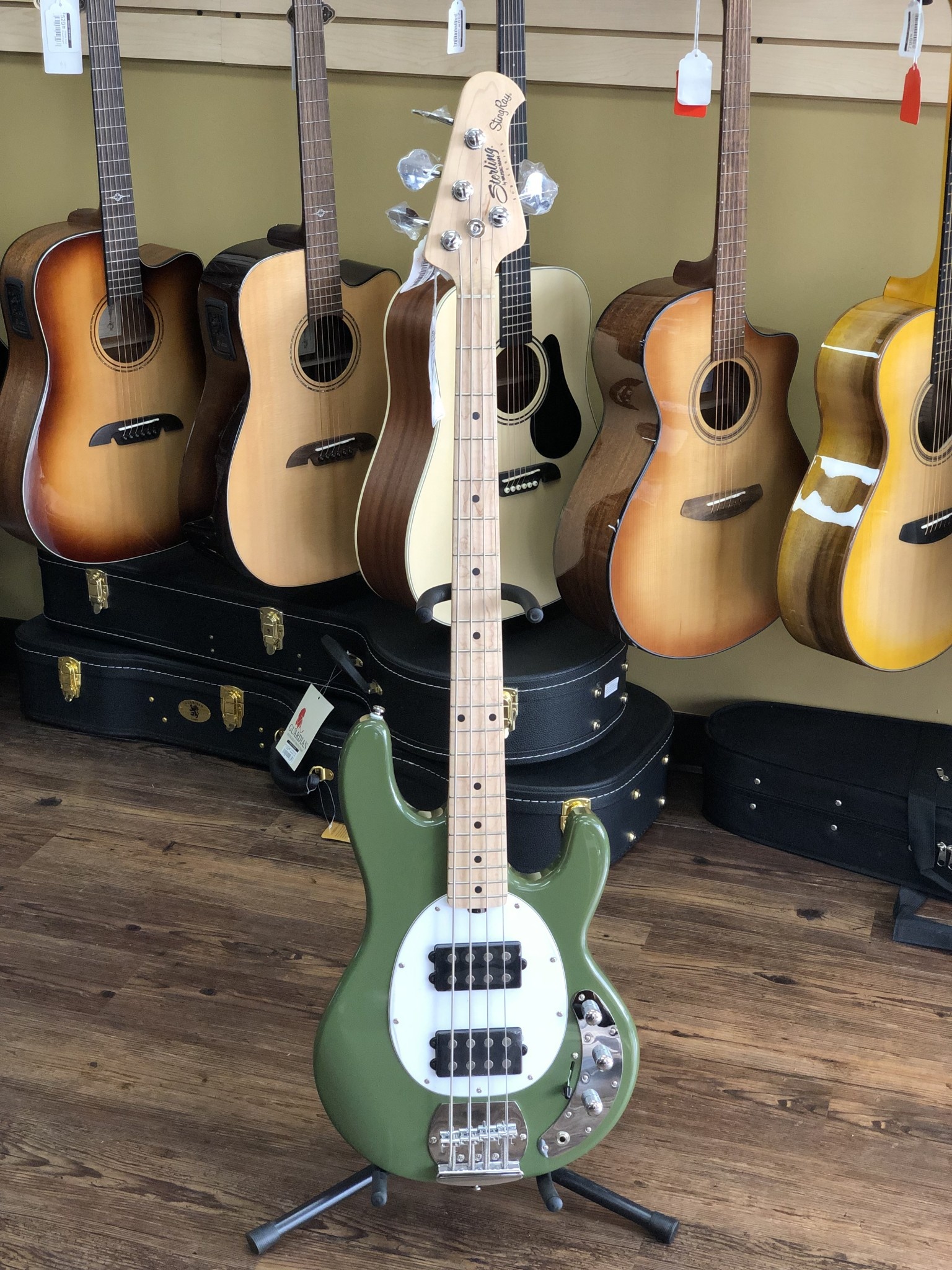 Sterling by Music Man StingRay Ray4HH (Olive) | USA