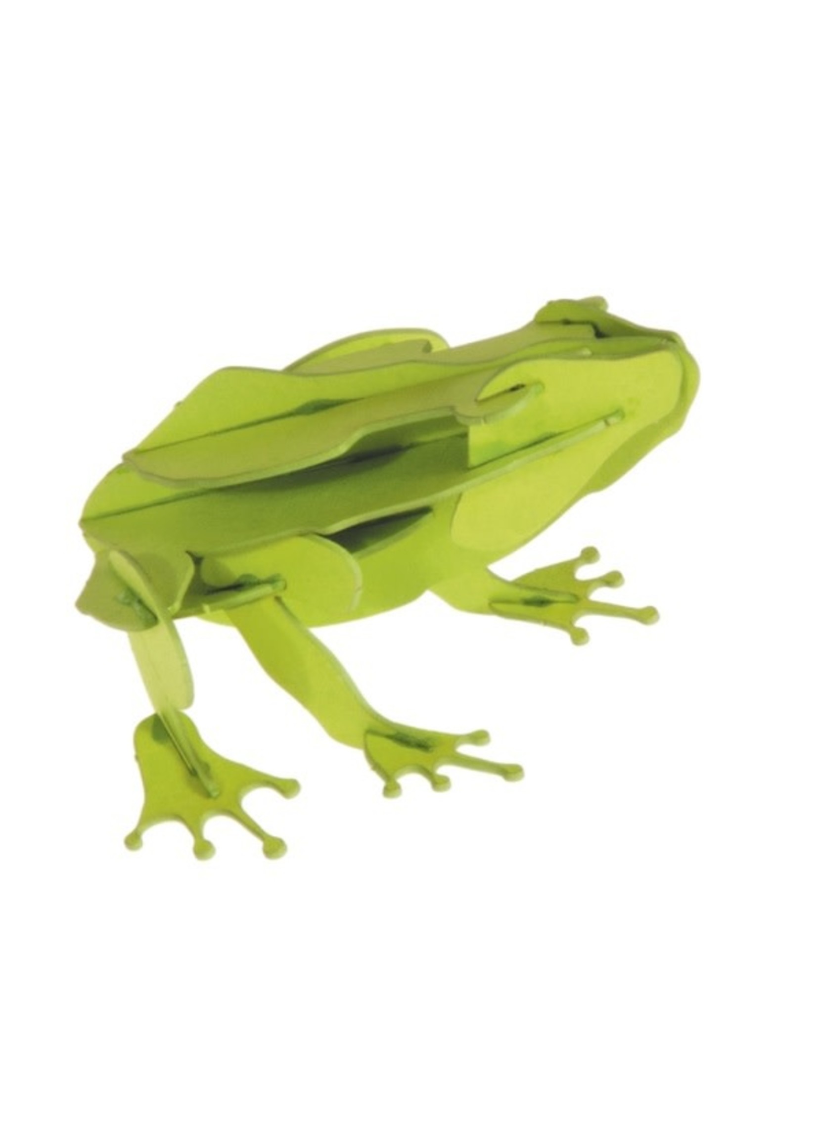Fridolin Paper Animal Models: Reptiles & Amphibians