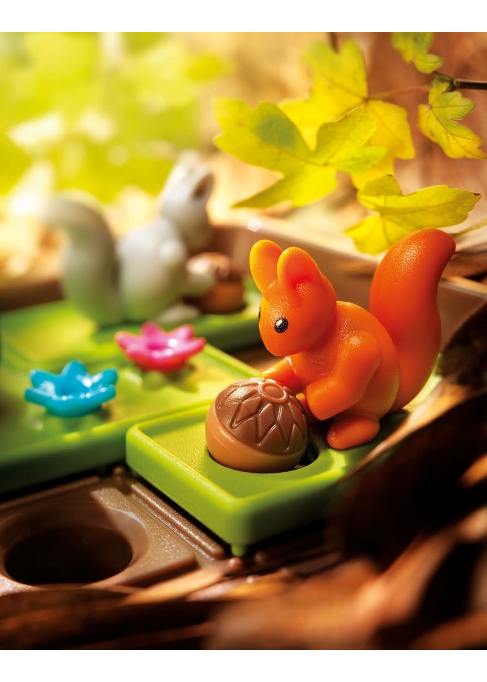 Smart Toys & Games Squirrels Go Nuts