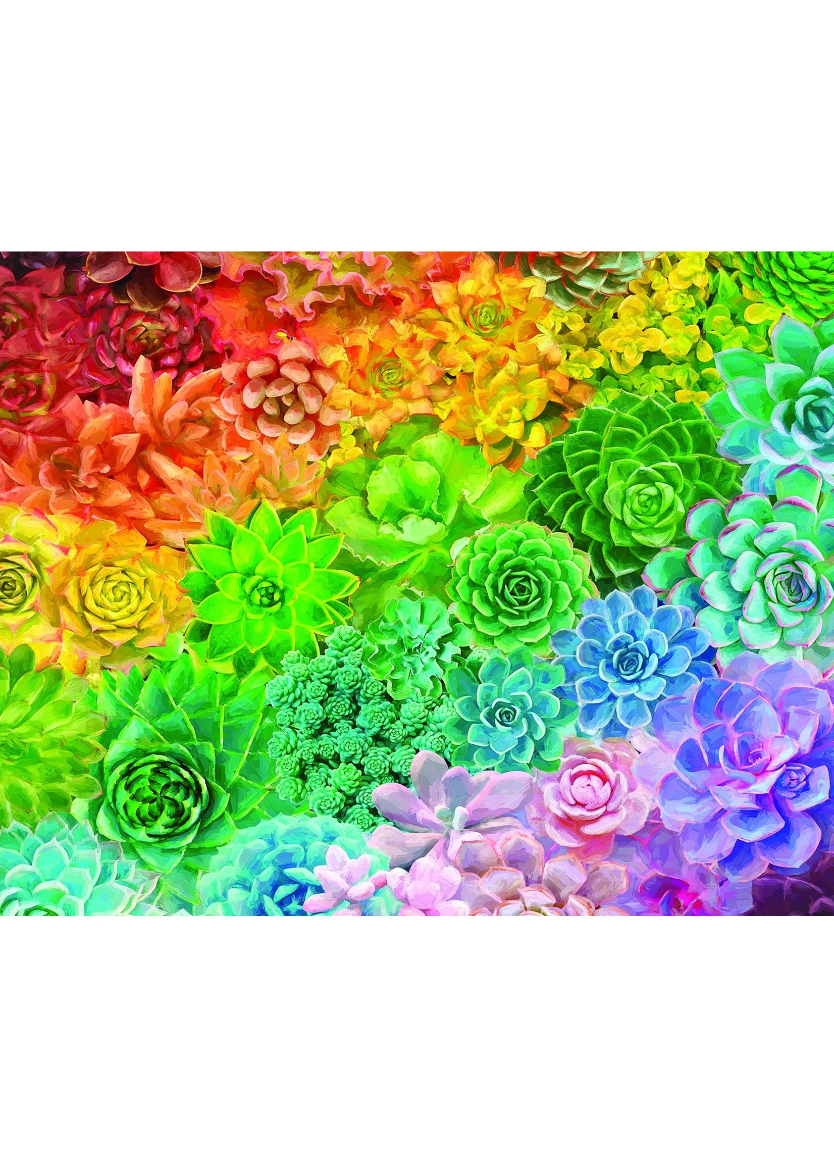 White Mountain Puzzle "Succulent Rainbow" 1000 Piece Puzzle