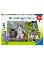 Ravensburger "Cuddly Kittens" 3X 49 Piece Puzzles