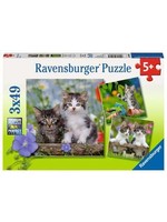 Ravensburger "Tiger Kittens" 3X 49 Piece Puzzles