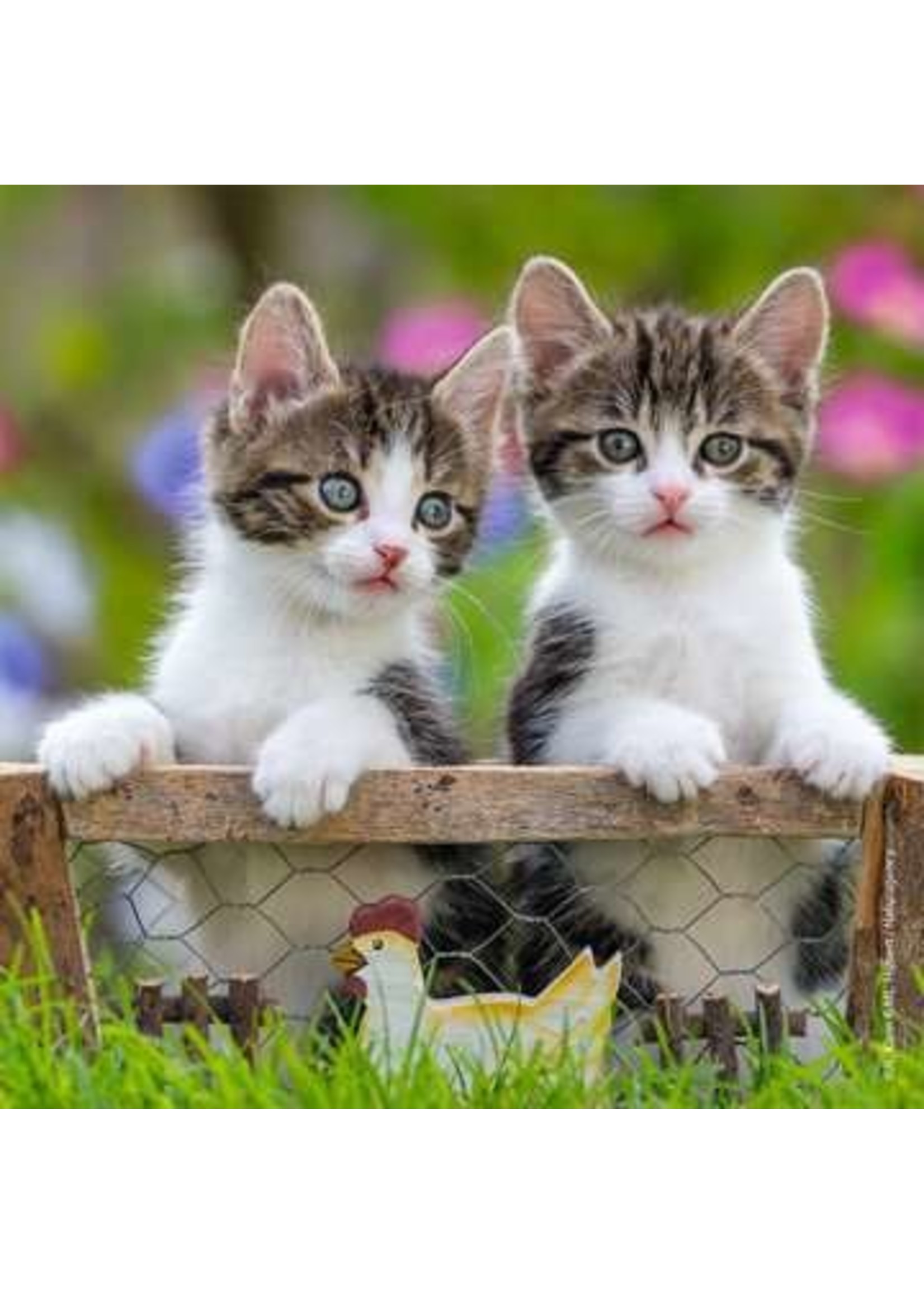 Ravensburger "Cuddly Kittens" 3X 49 Piece Puzzles