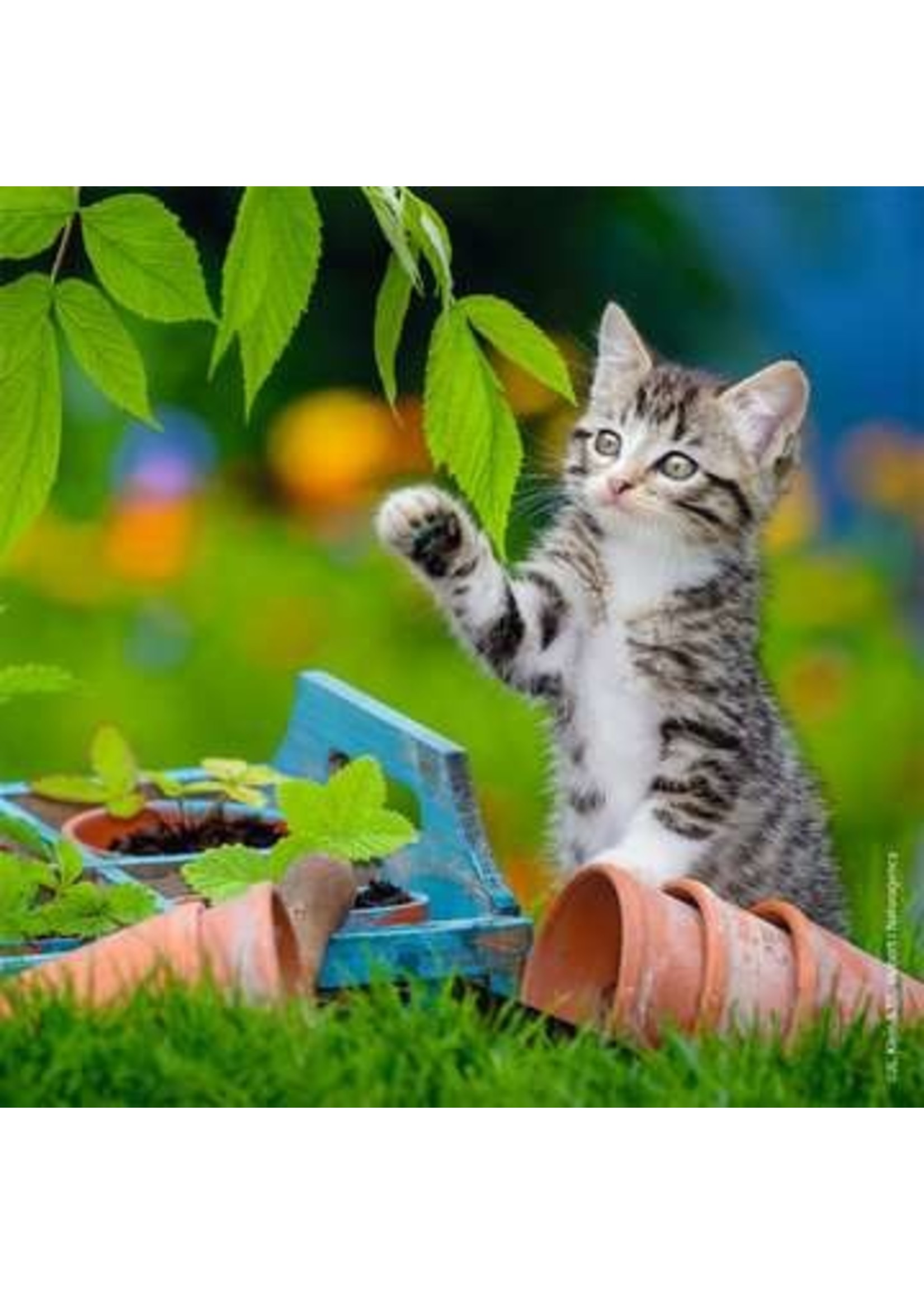 Ravensburger "Cuddly Kittens" 3X 49 Piece Puzzles