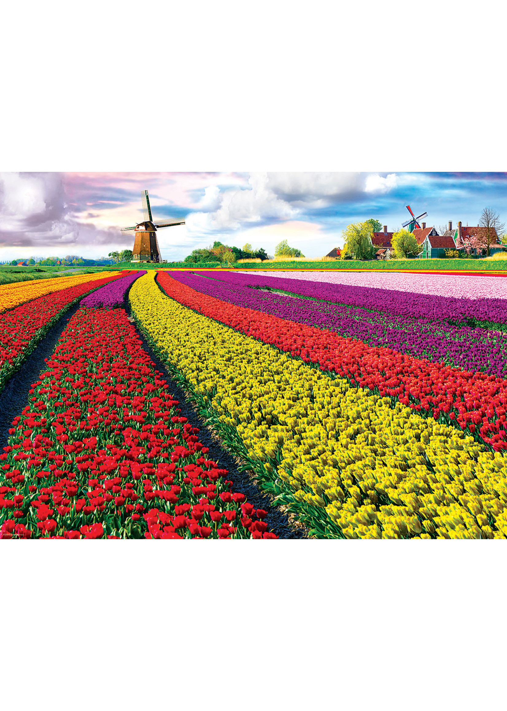 Eurographics "Tulip Fields" 1000 Piece Puzzle