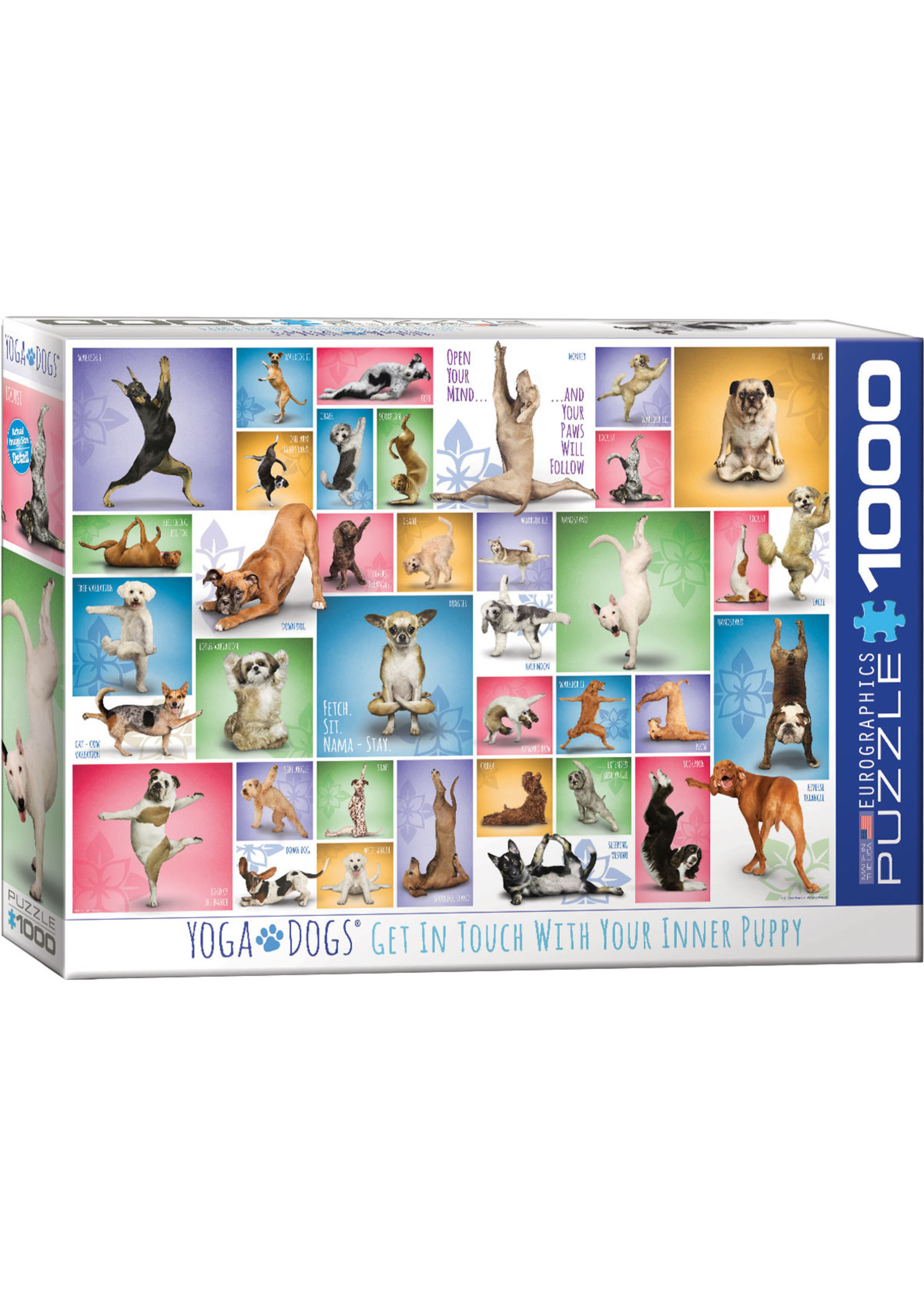 Eurographics "Yoga Dogs" 1000 Piece Puzzle