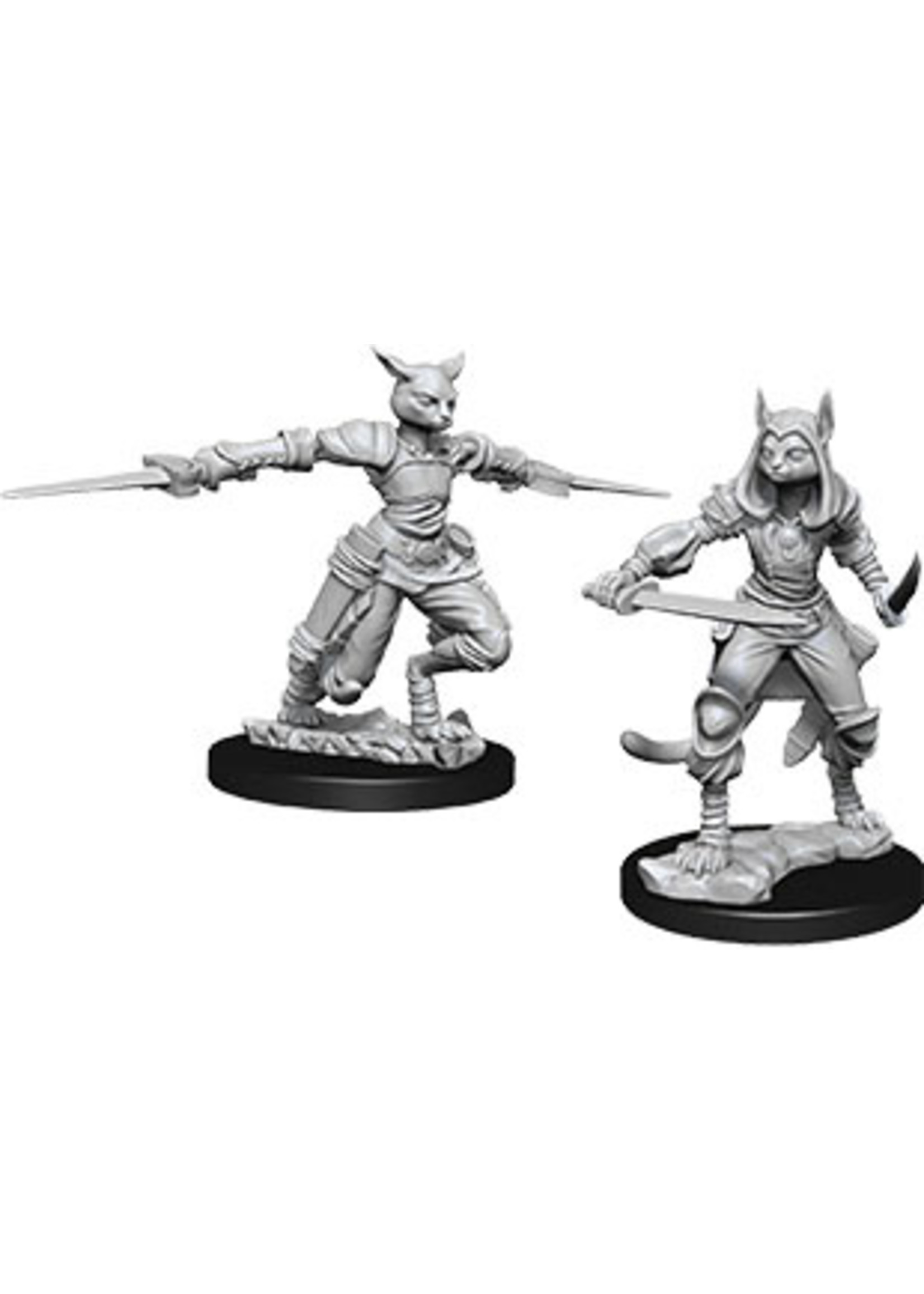 Wizkids Unpainted Tabaxi Characters