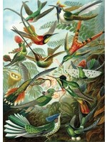 Artifact Puzzles Haeckel "Hummingbirds" Wooden Jigsaw Puzzle