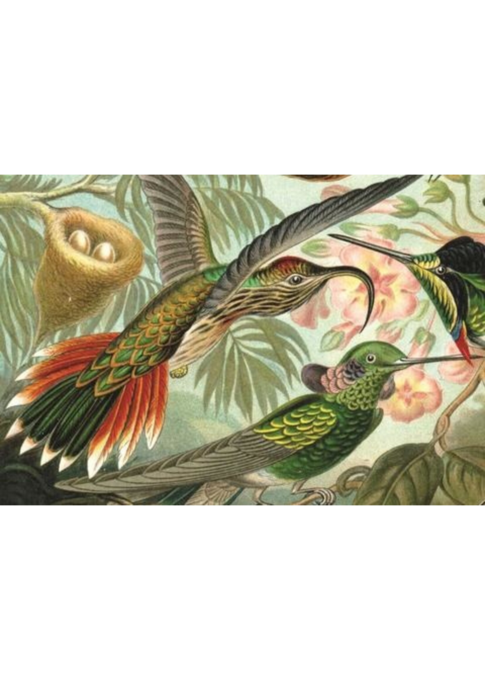 Artifact Puzzles Haeckel "Hummingbirds" Wooden Jigsaw Puzzle