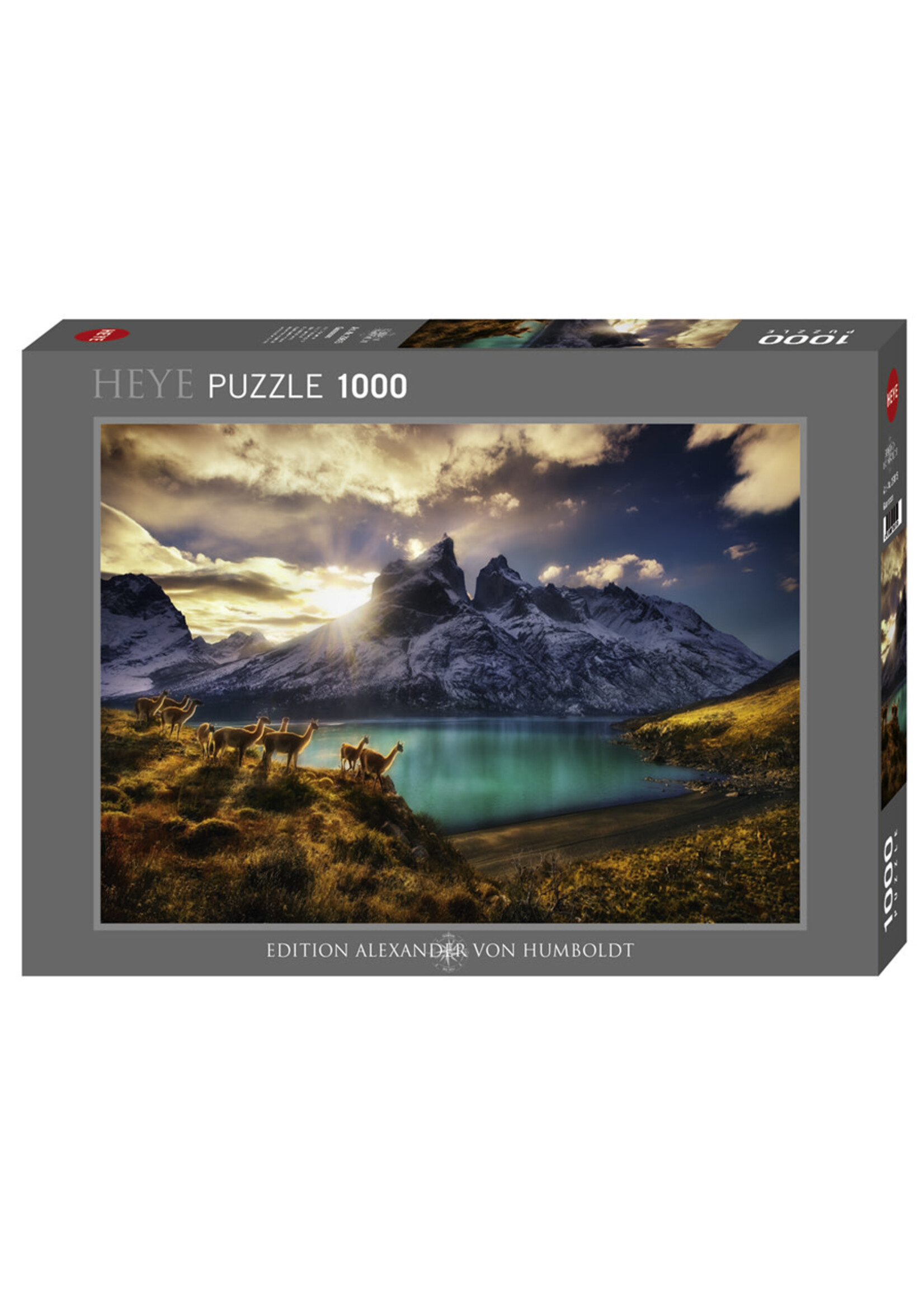 Heye "Guanacos" 1000 Piece Puzzle