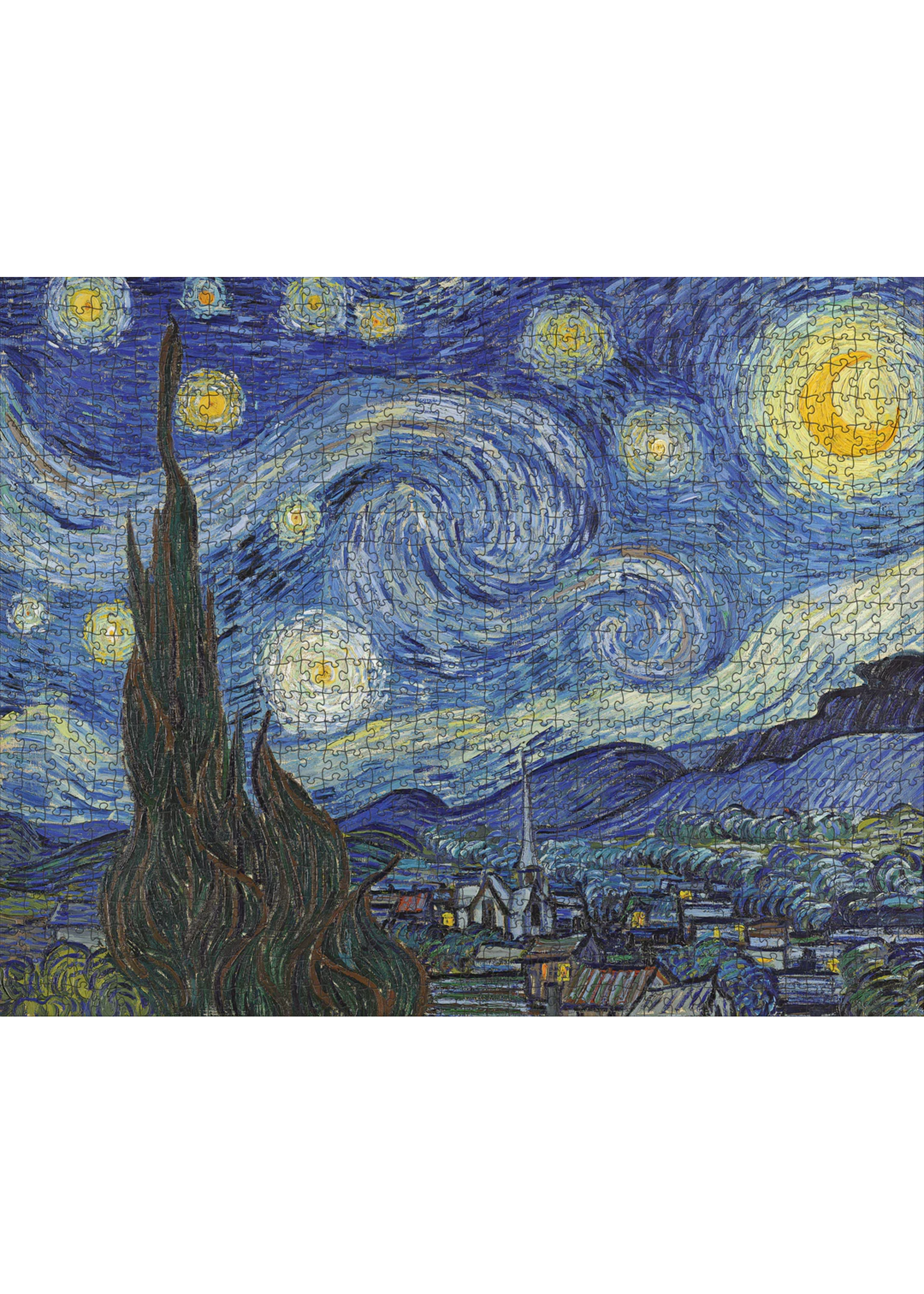 Pomegranate Vincent Van Gogh: The Starry Night 1000 Piece Puzzle
