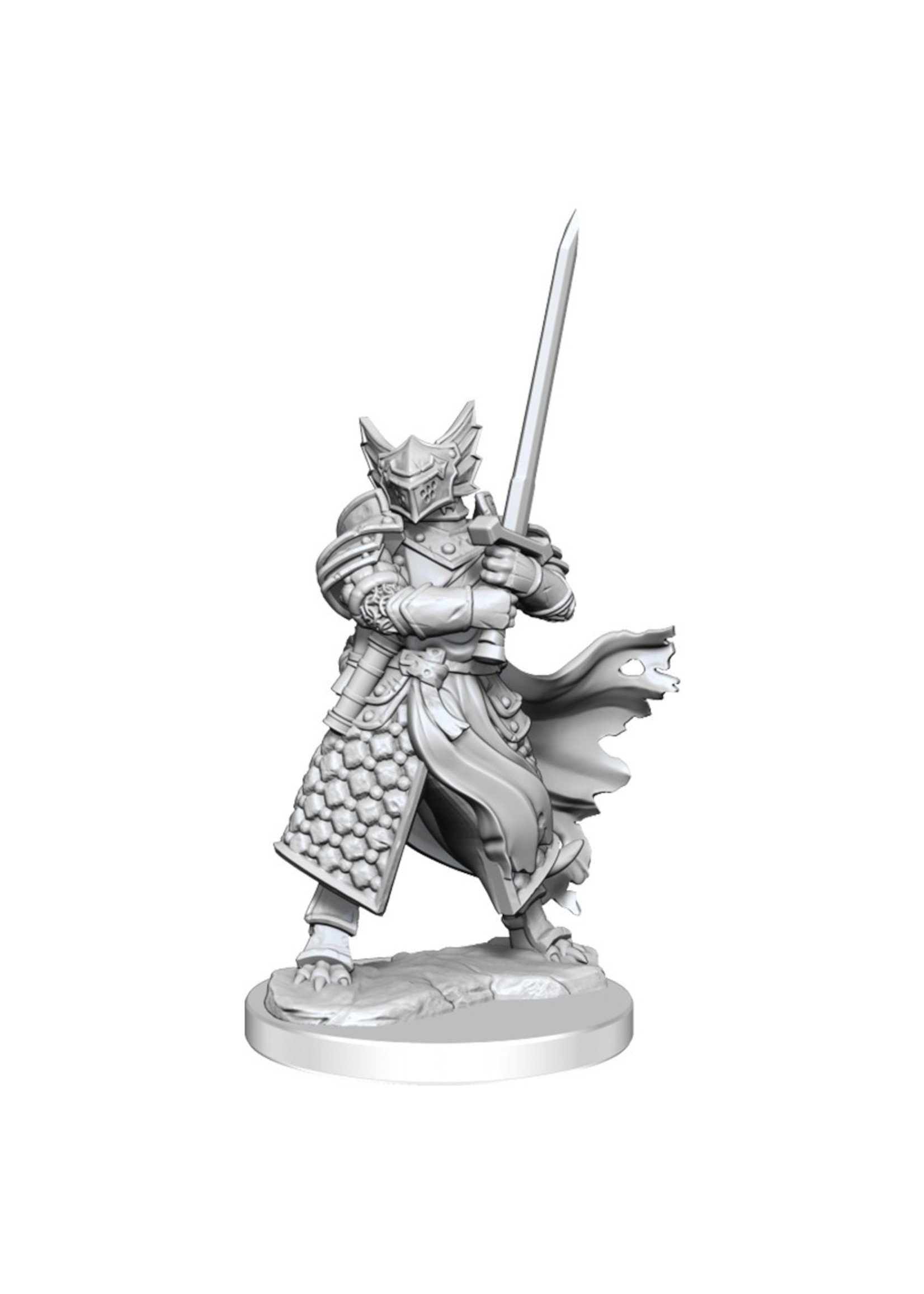 Wizkids D&D Frameworks Models: Dragonborn Characters