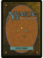 Wizards of the Coast In-Store Gaming  MtG Constructed - Pauper Format