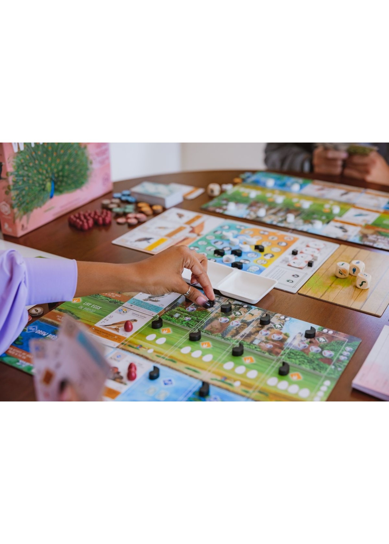 Stonemaier Games Wingspan: Asia Expansion