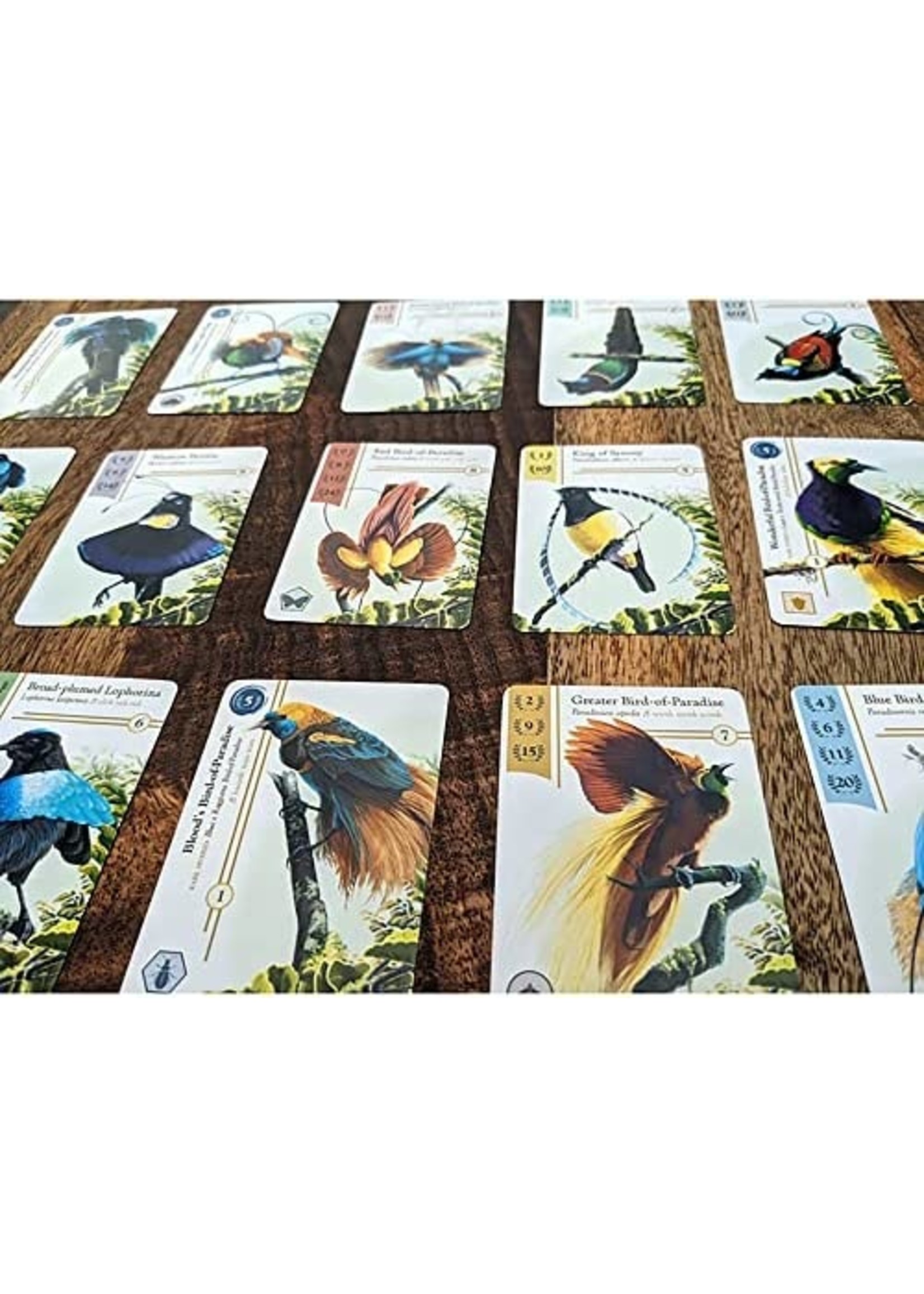 Renegade Game Studios Birdwatcher