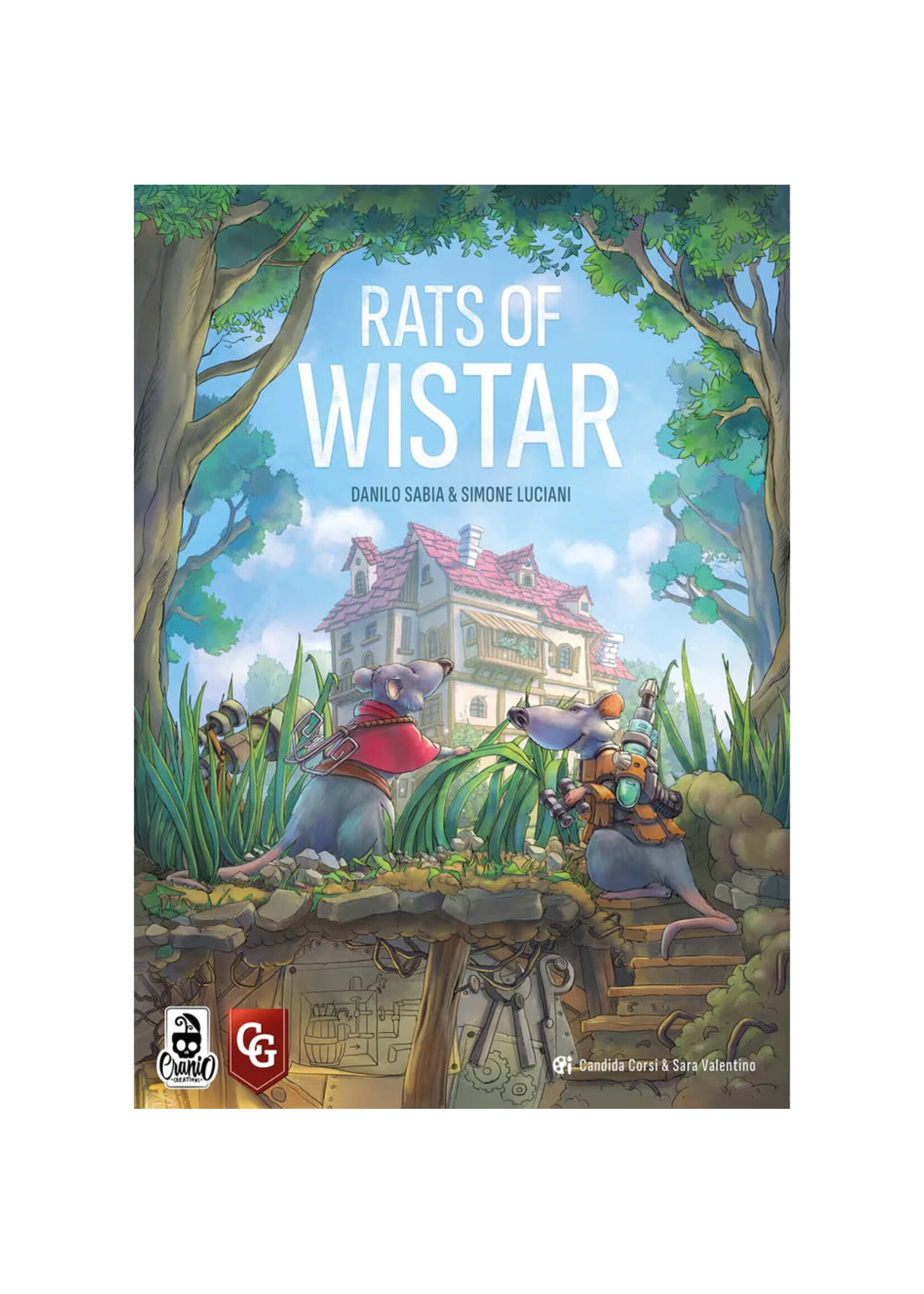 Candida Corsi Rats of Wistar