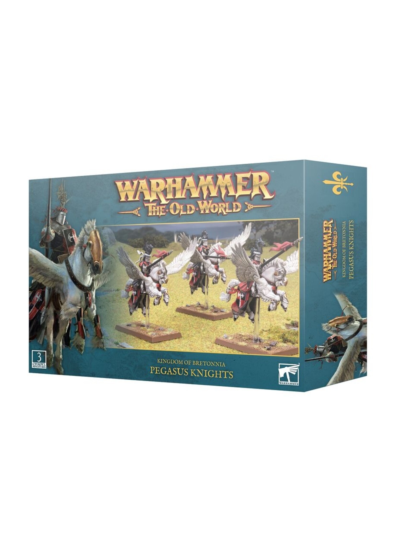 Games Workshop Kingdom of Bretonnia: Pegasus Knights