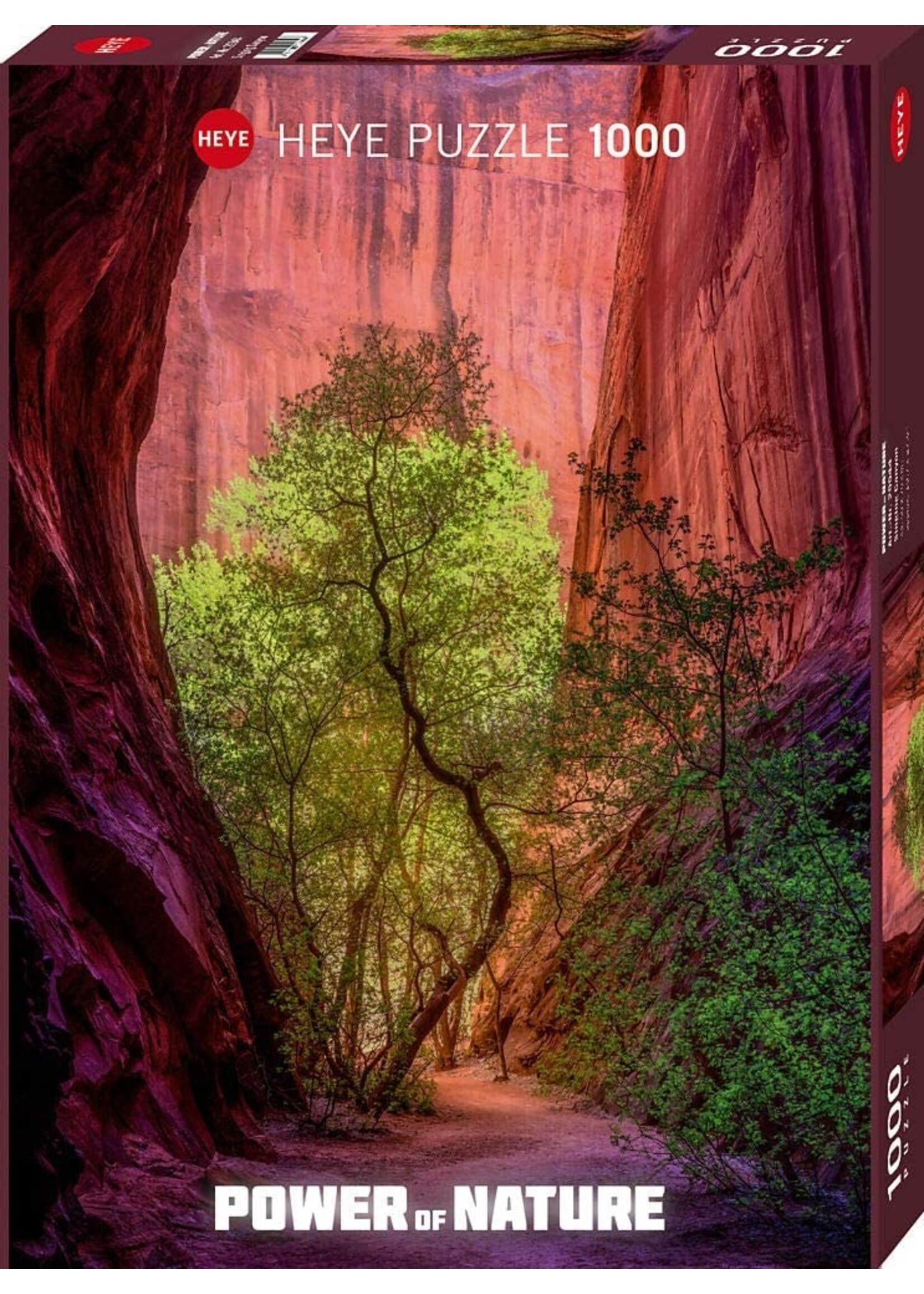 Heye "Singing Canyon; Power of Nature" 1000 Piece Puzzle