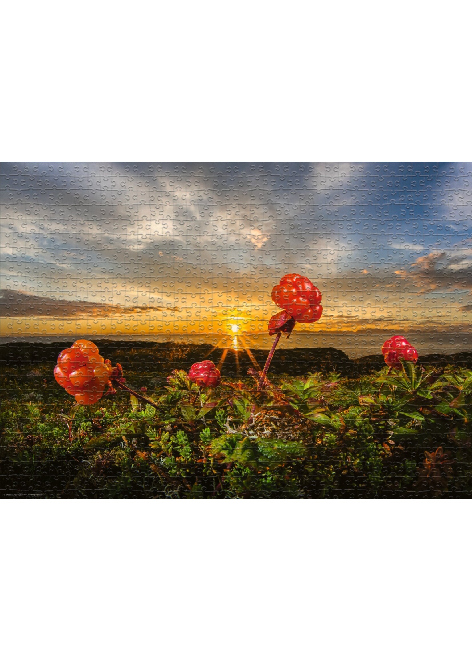 Heye "Cloudberries" 1000 Piece Puzzle
