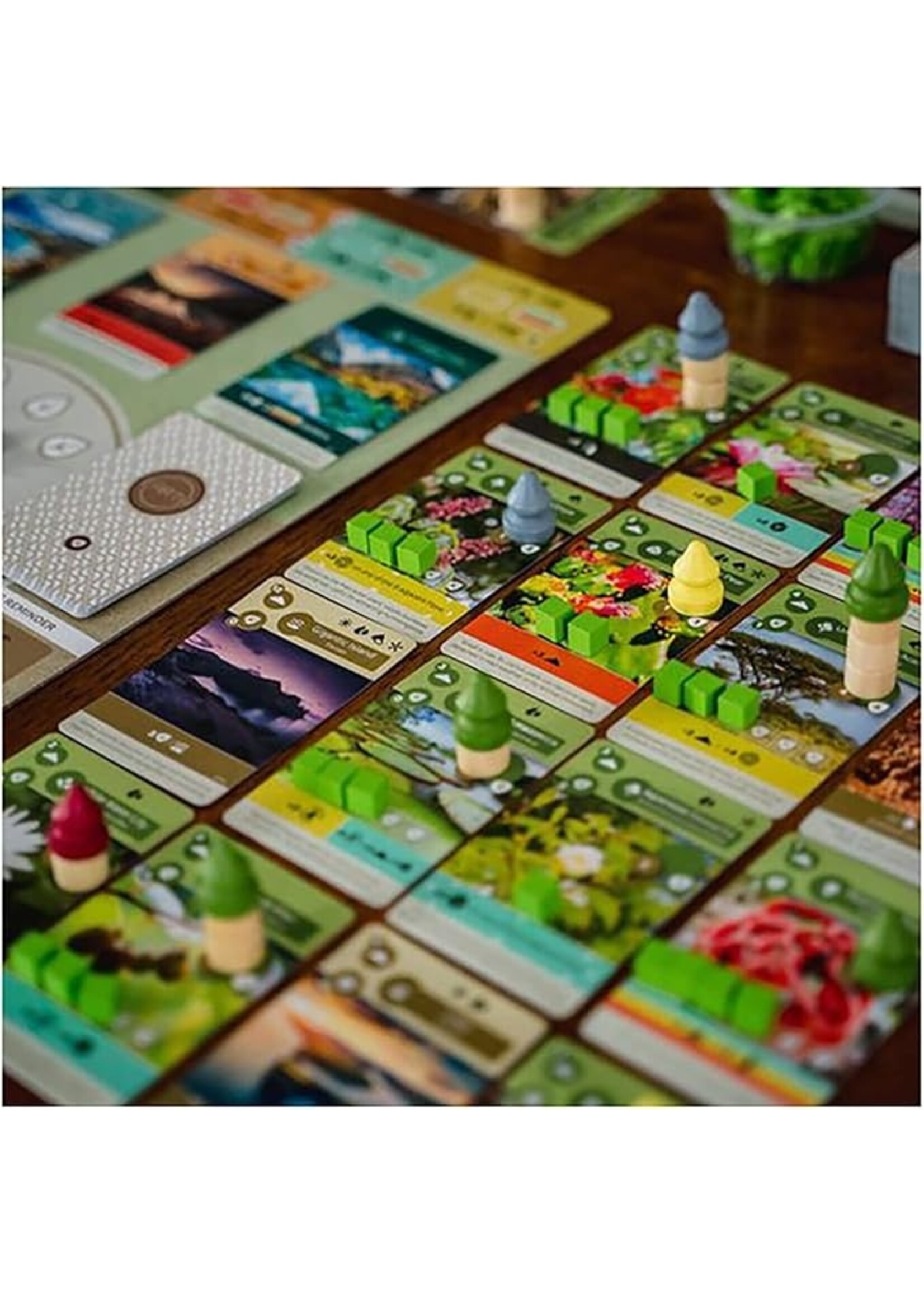 Inside Up Games Earth