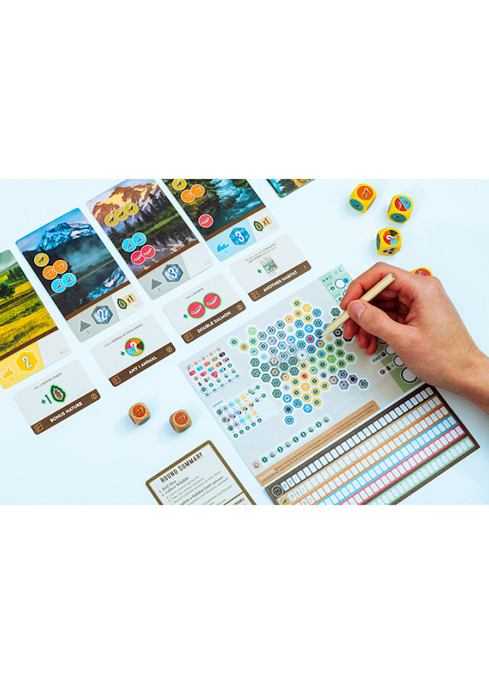 その他 Cascadia Rolling Rivers Cascadia: Rolling Rivers - Gamescape North