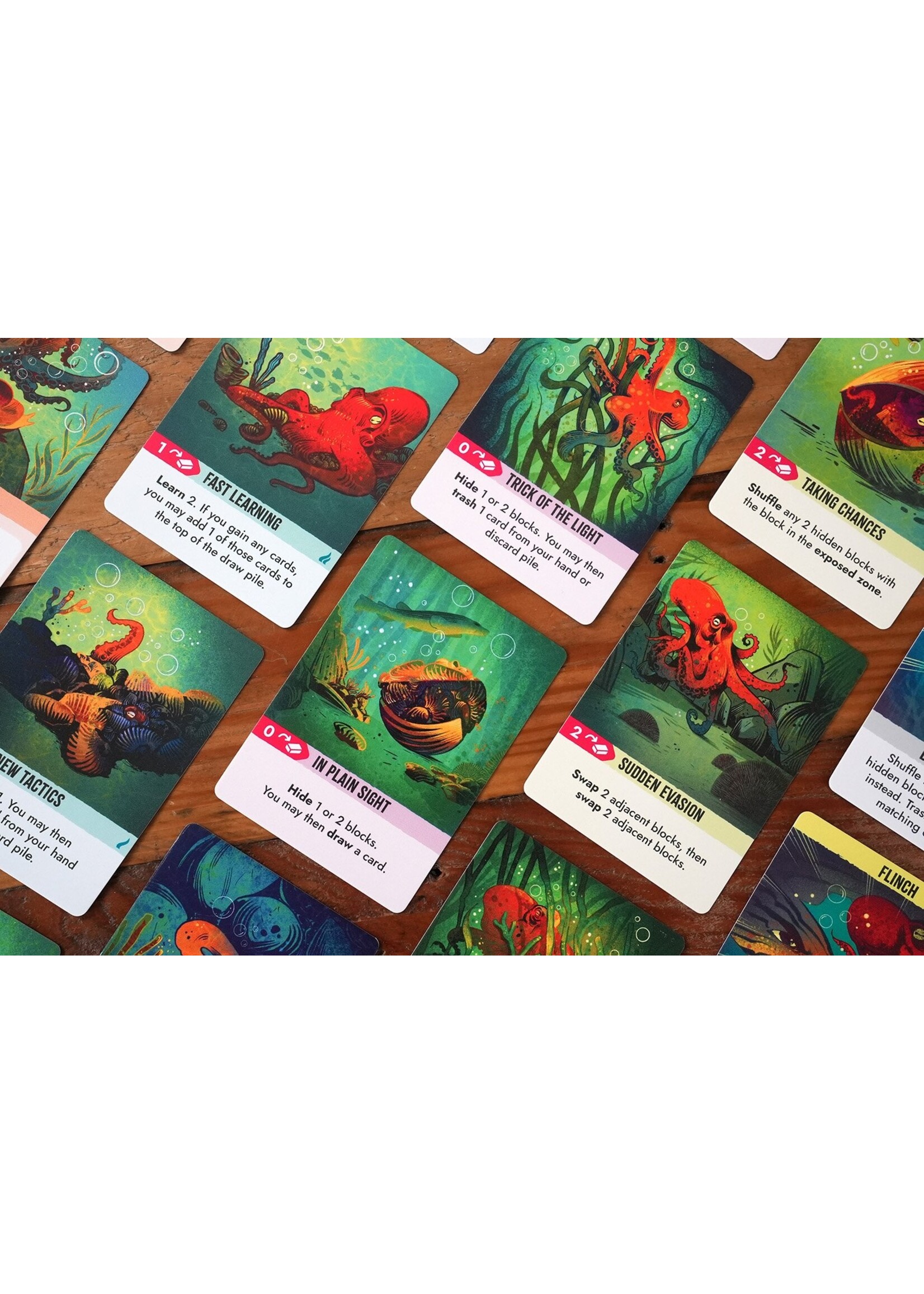 Wonderbow Games Kelp