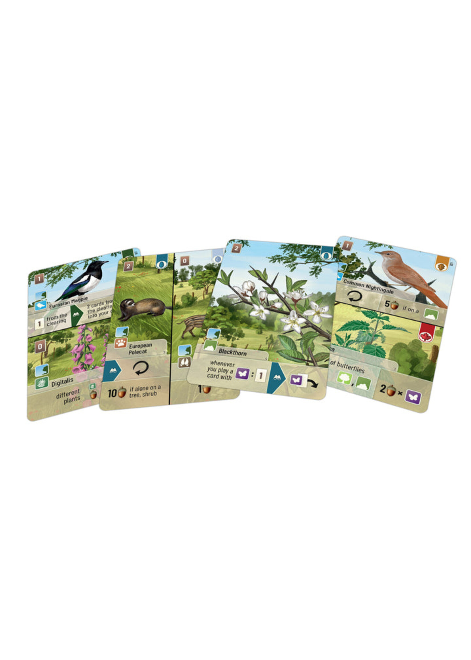 Lookout Games Forest Shuffle Woodland Edge